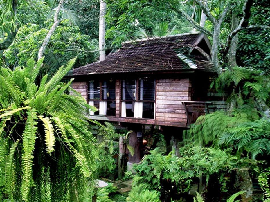 Fern Paradise Chiang Mai Eksteriør bilde
