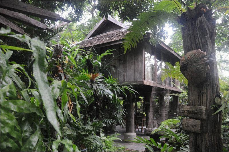 Fern Paradise Chiang Mai Eksteriør bilde