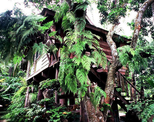 Fern Paradise Chiang Mai Eksteriør bilde